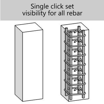 Base rebar obscurity display state